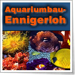 Aquariumbau-Ennigerloh